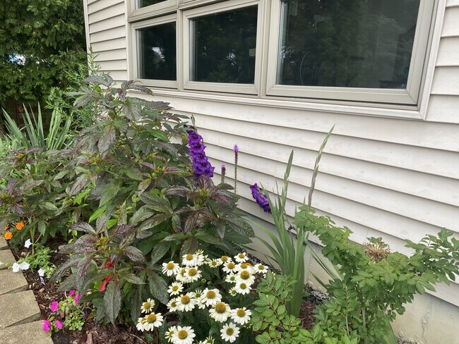 Foto del edificio - 23231 W Lakeshore Dr