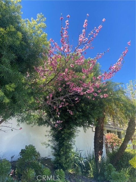 Building Photo - 17041 Escalon Dr