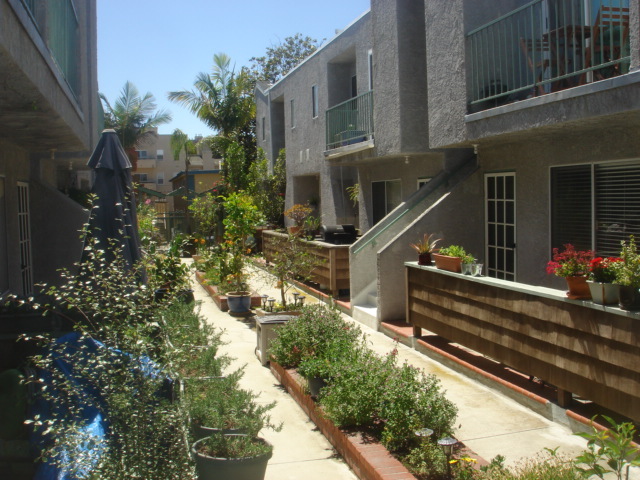 Courtyard - 11925 Avon Way