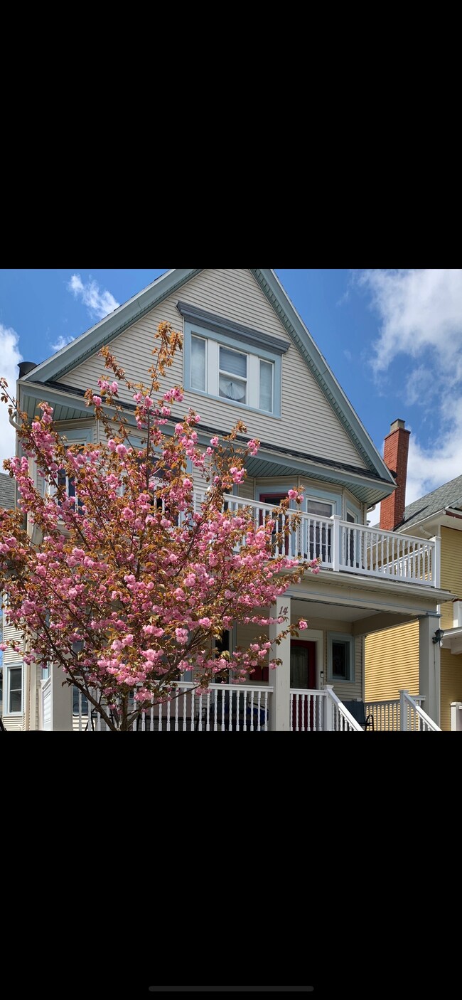 Building Photo - 14 Melbourne Pl