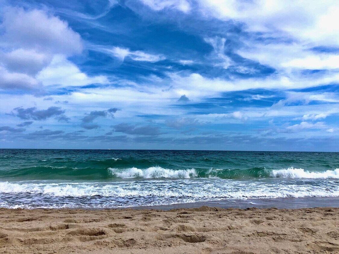 1200 Hibiscus Ave Unit 16th Floor, Pompano Beach, FL 33062 Condo for Rent in Pompano Beach, FL