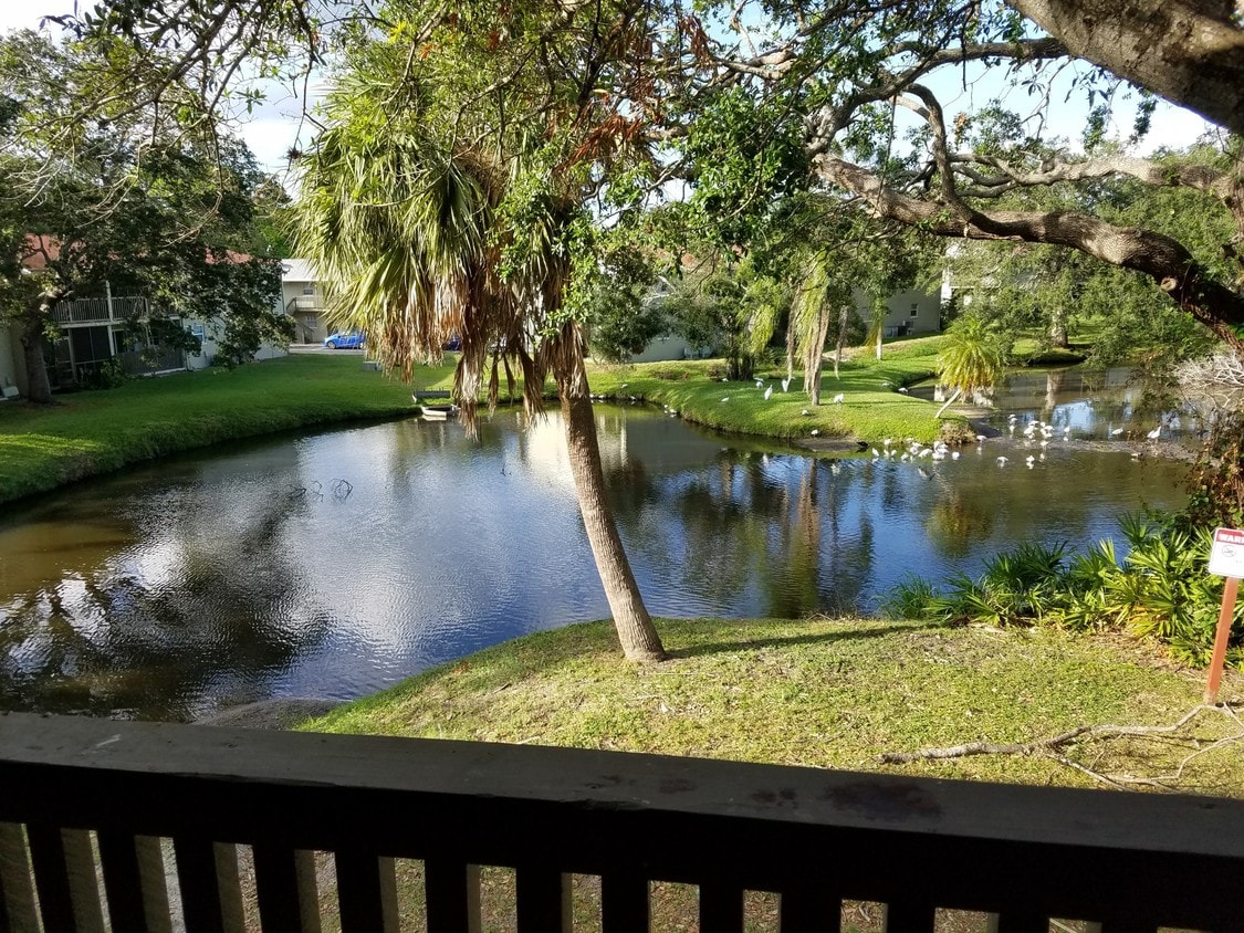 View from Balcony - 2200 Gladys St