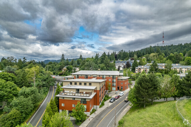 Aerial Photo - The Watershed at Hillsdale