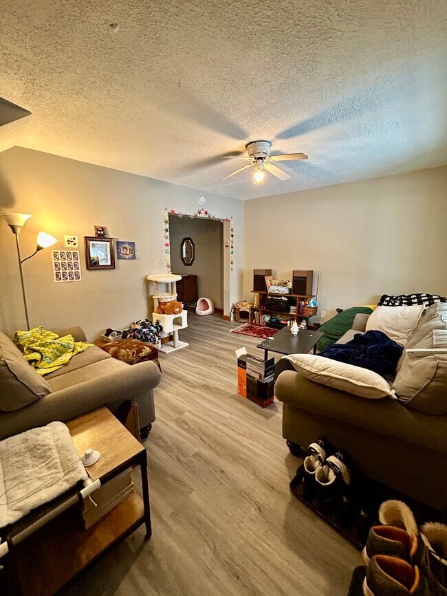 Foto del edificio - AVAILABLE JUNE- Gorgeous 4 Bed, 1 Bathroom Hillside Home!