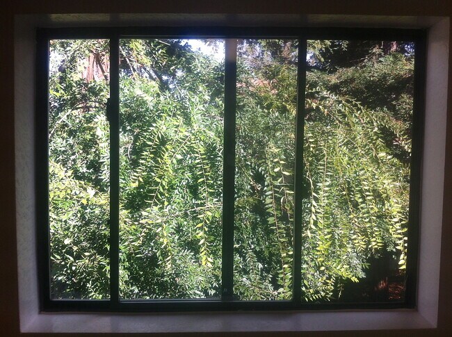 vista desde el fregadero de la cocina - 434 S Shepherd St