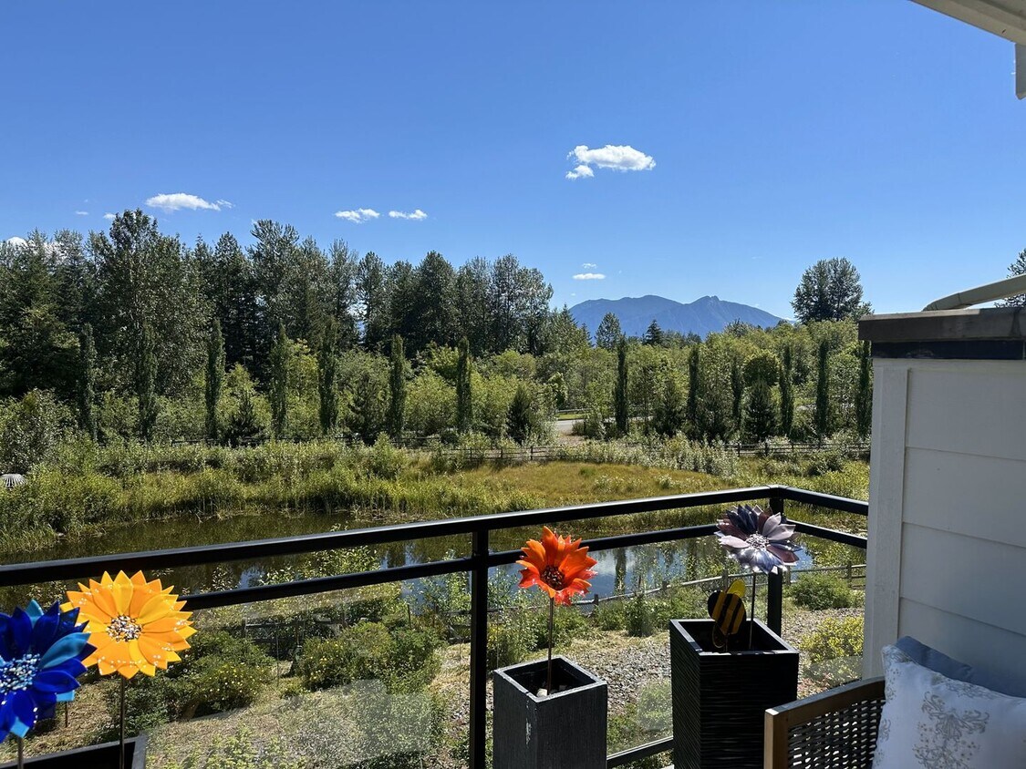Primary Photo - Fantastic Snoqualmie Ridge location showca...