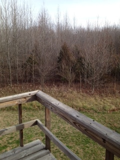 Primary Photo - Murdale Gardens Apartment Complex