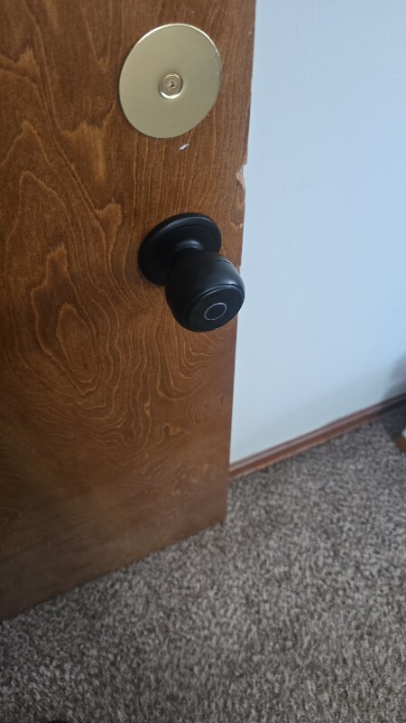 Foto del edificio - 316 Halle Dr