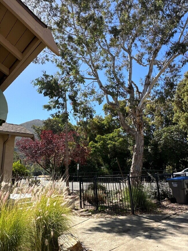 Foto del edificio - Charming 1928 Vintage Cottage Near Cal Poly – Available Now
