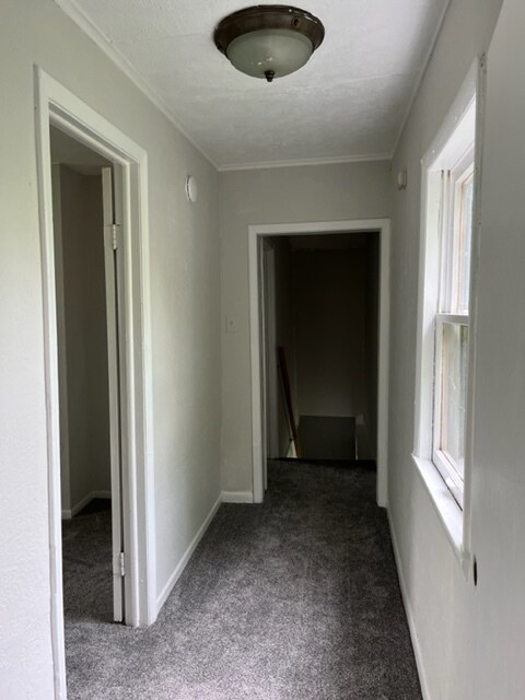 Photo - 1912 S 12th St House