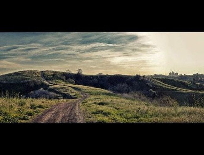 View from Elephant Hill. About 10 minute walk from house - 4003 Harriman Ave