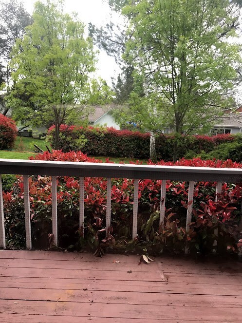 Building Photo - Spacious Jackson Townhome
