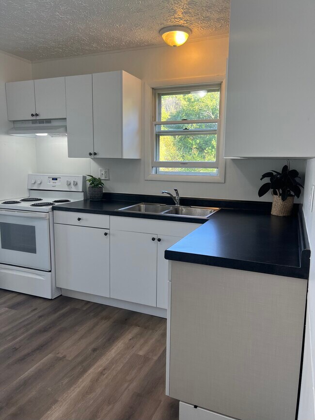 (these are photos of renovated, comparable unit - similar finishes) - 703 E Bullock St
