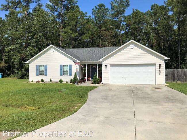 Foto del edificio - 3 br, 2 bath House - 217 Peters Lane