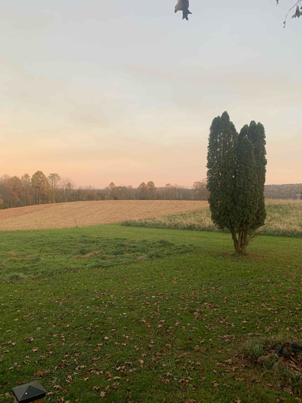 Photo - 701 Candy Rd (Mohnton, PA)