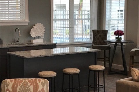 Interior Photo - Palms of Pinellas