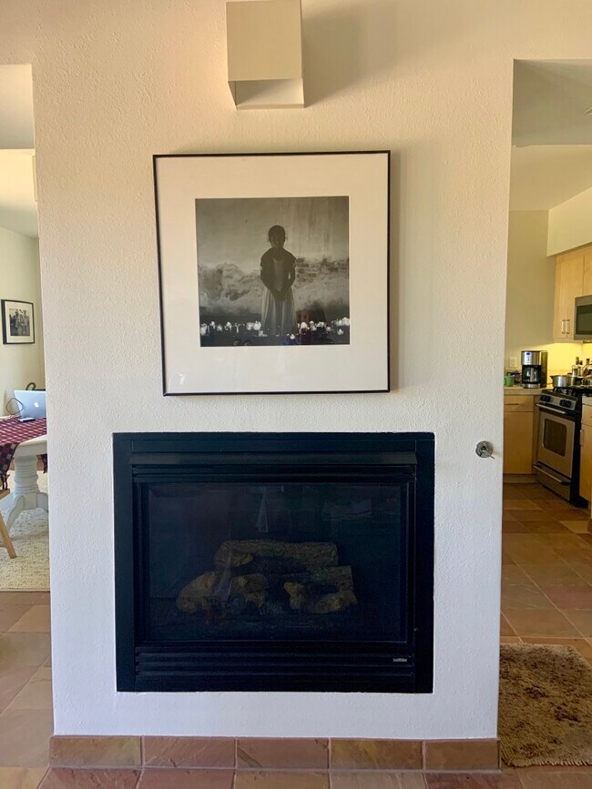 Pass through/gas fireplace - 1390 Avenida Rincon