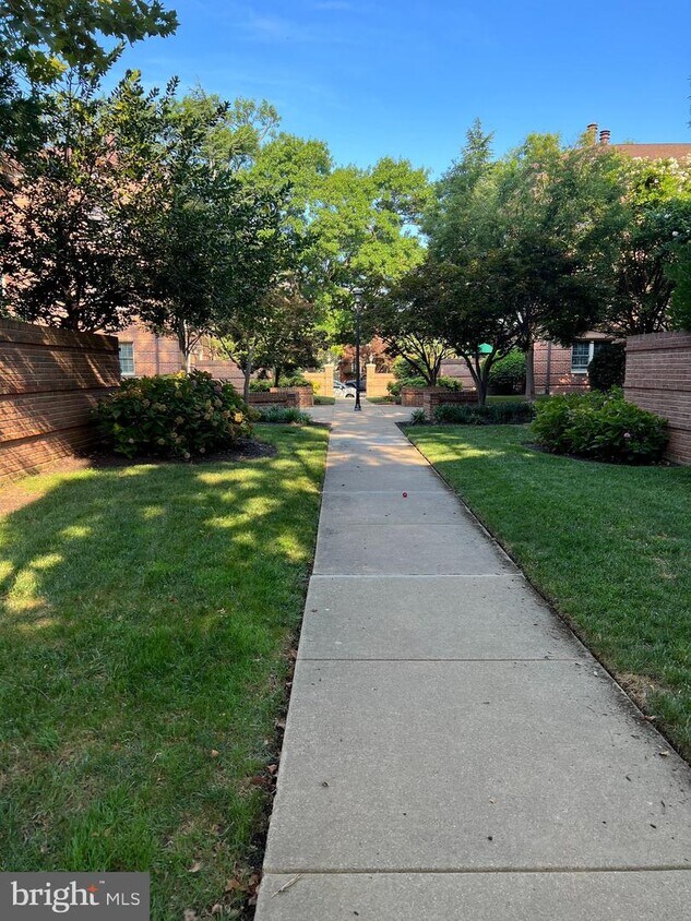 1109 N Pitt St Unit 3B, Alexandria, VA 22314 Apartment for Rent in