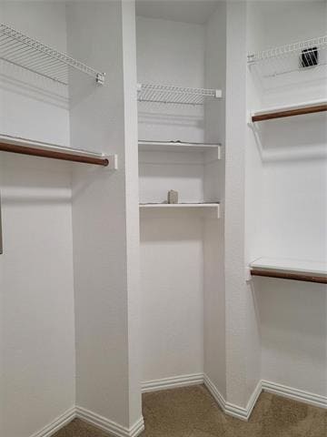 Foto del edificio - 1404 Hummingbird Ct