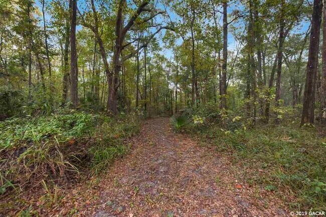 Foto del edificio - Beautiful 4/2.5 in Newberry on 5 Acres!