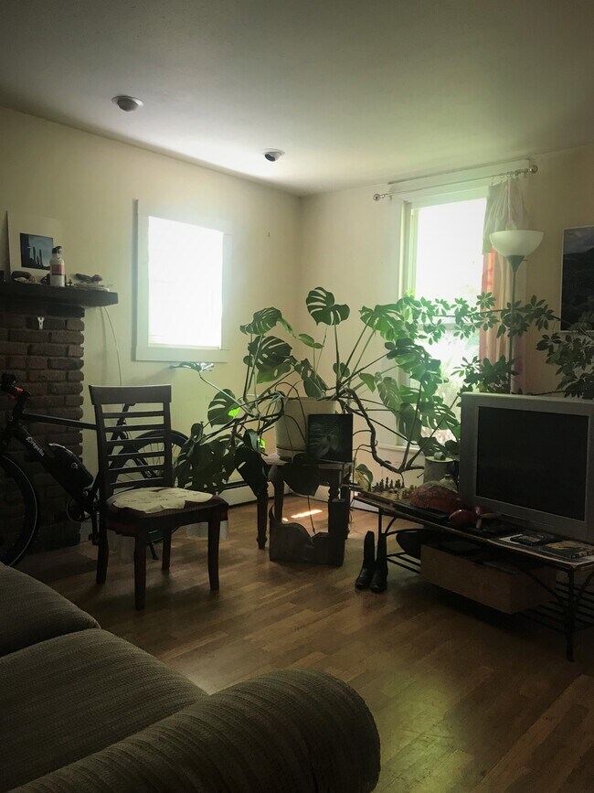 Living Room - 1960 Violet Ave