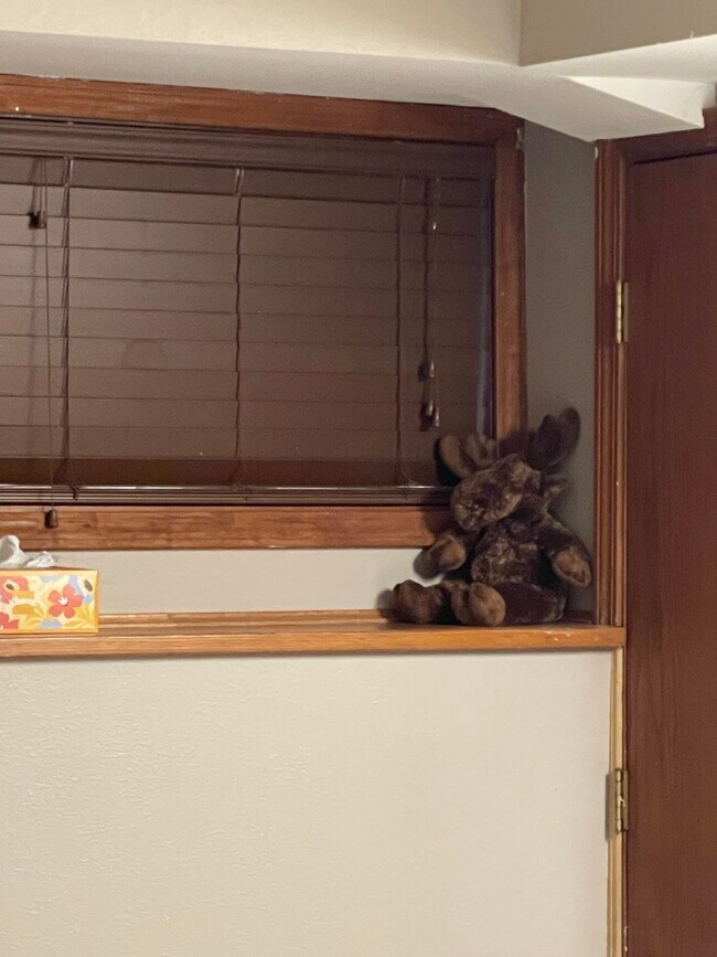 Foto del edificio - “A Slice Of Moose Paradise”