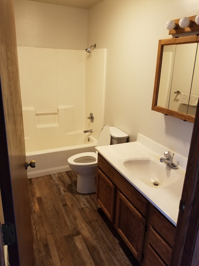 Bathroom - 318 N Hyland St