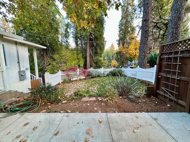 Foto del edificio - 2 Bedroom, 1 Bathroom Upstairs Duplex in G...