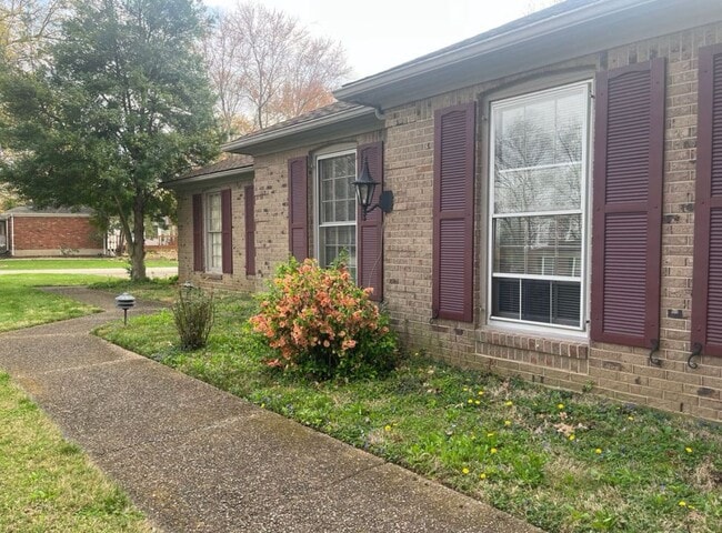 Foto del edificio - 3200 Brownsboro Vista Dr