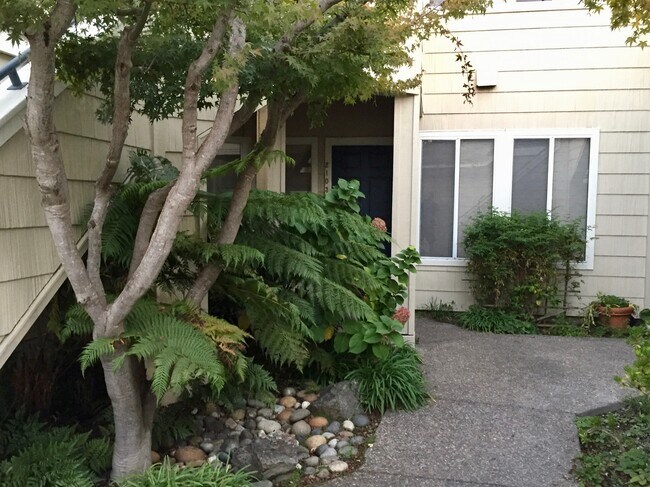 Front Entrance - 2103 Stonefield Ln