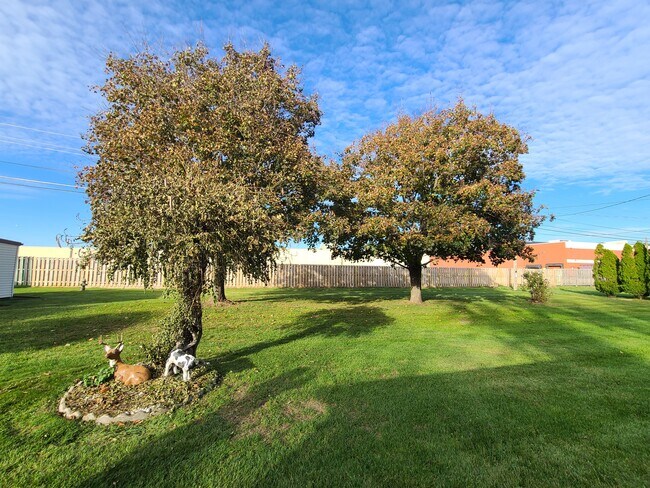 Backyard - 1397 County Road SS