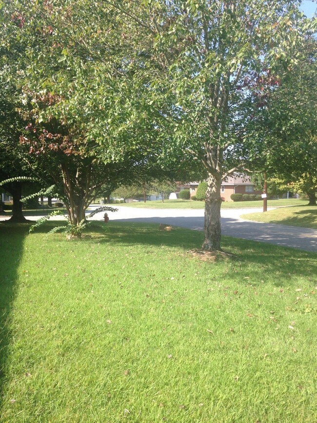 Foto del edificio - Immaculate three bedroom home in Ashland.