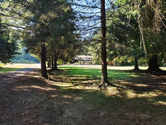 private driveway to home - 20981 Port Gamble Rd NE