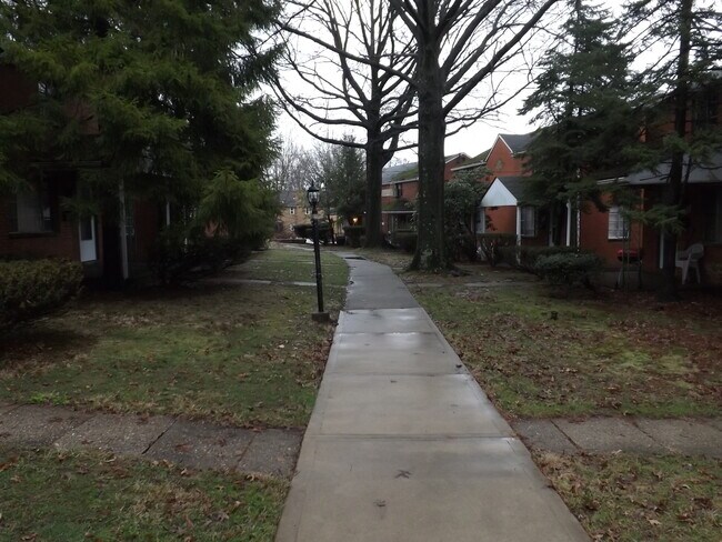 Court yard area - 9 Sharon Ct