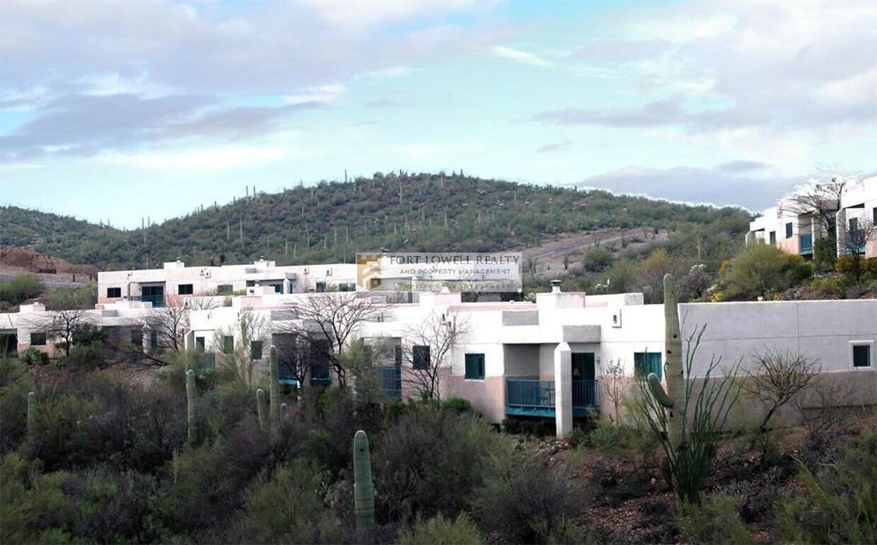 Primary Photo - SINGLE LEVEL FURNISHED CASITA IN STARR PASS