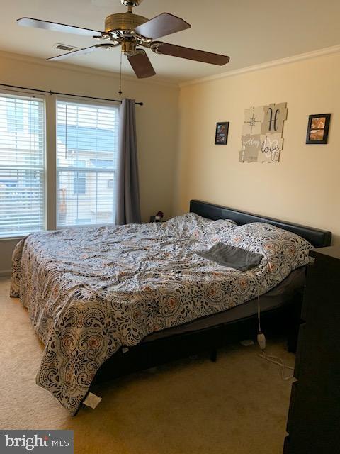 Foto del edificio - 19901 Fieldgrass Square