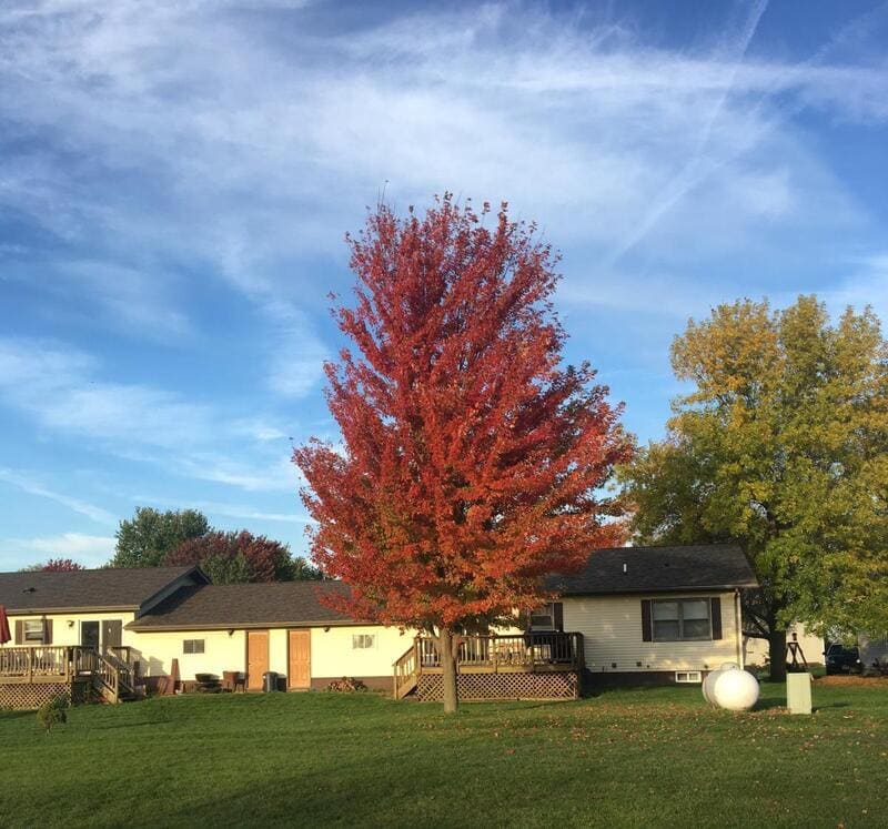 Primary Photo - 1106 Greenview St