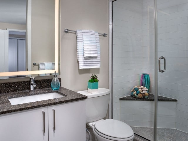 2 Bedroom Bathroom - 2Hopkins Apartments