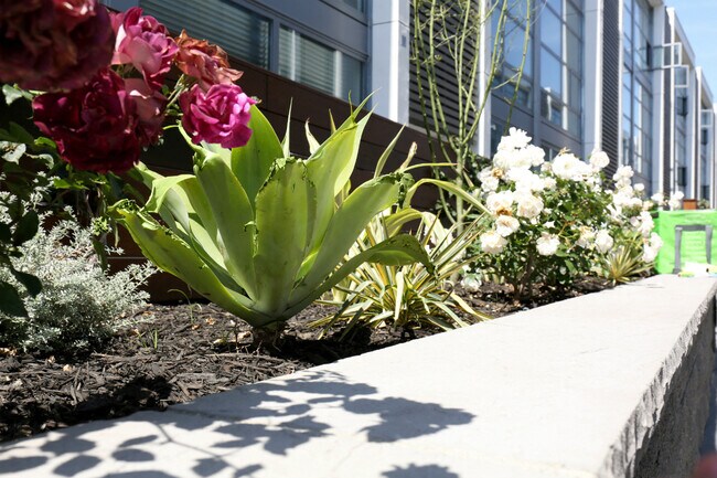 Hermosas flores en el patio - Loft2015 Apartments