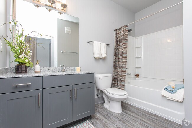 Ascent Athens Apartments Athens Ga Apartments Com