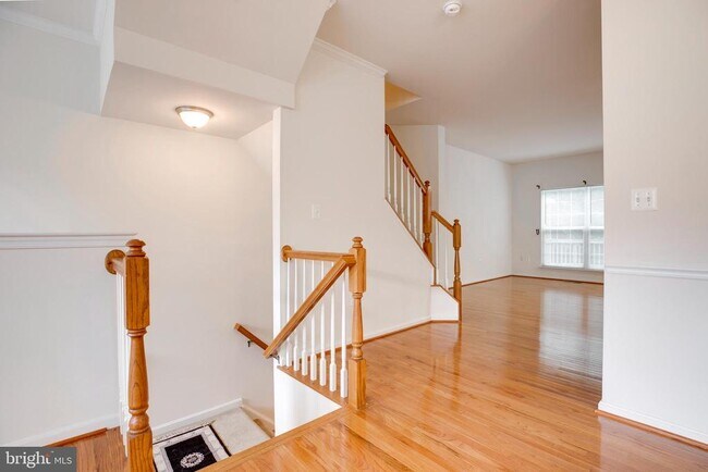 Foto del edificio - 8346 Leighlex Ct