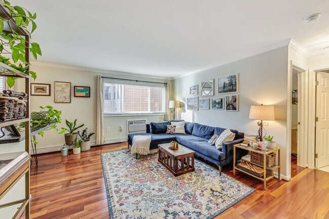Foto del edificio - 1341 Clifton St NW