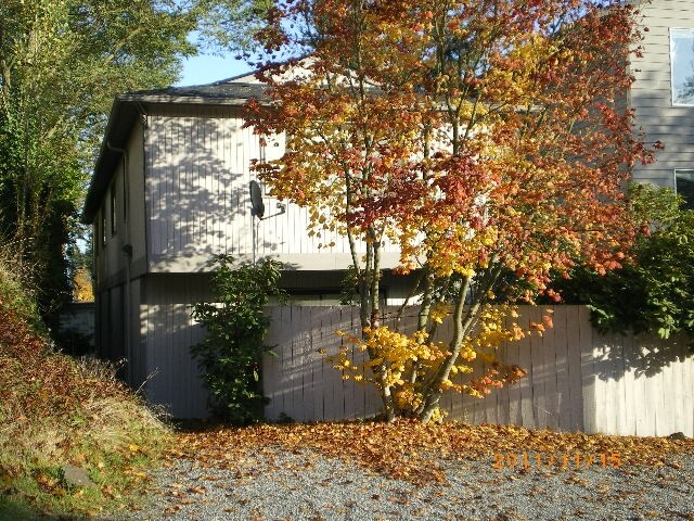 Primary Photo - Whitman Apartments