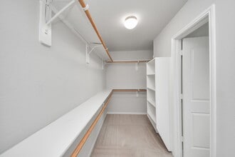 Building Photo - 2931 Palm Oaks Trail