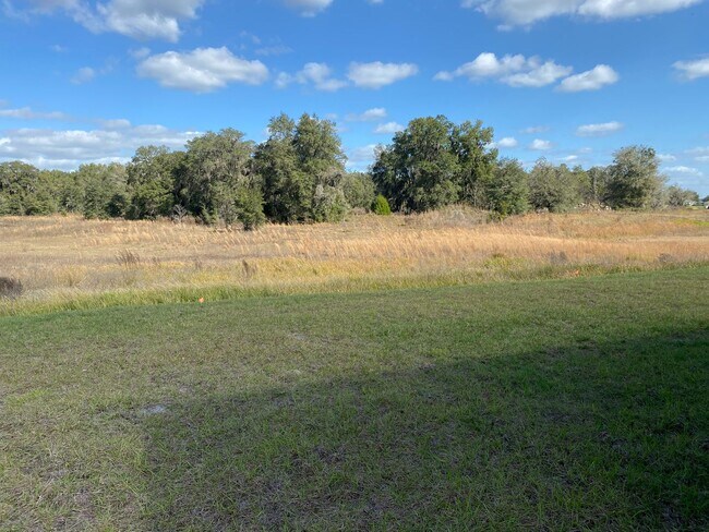 Building Photo - Oak Hill Plantation - 4/2/2  Won't Last Long!