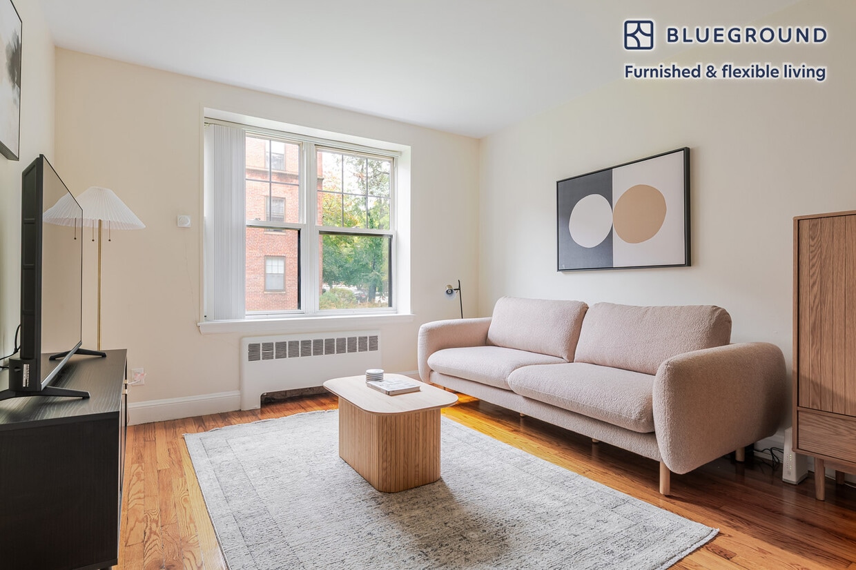 Primary Photo - 264 Harvard St