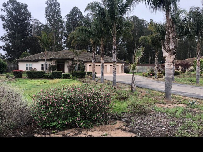Building Photo - 4 br, 3 bath House - 815 Live Oak Ridge
