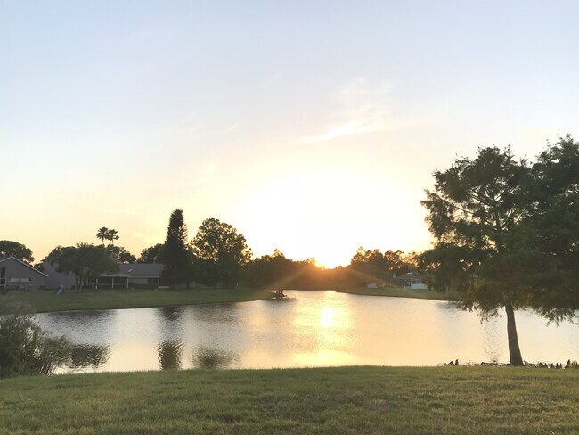 Foto del edificio - Waterfront Pool Home in Waterford Lakes