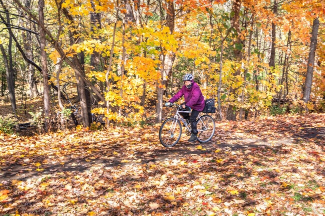 Morton Grove residents enjoy biking through the beautiful fall leaves in Harms Woods.