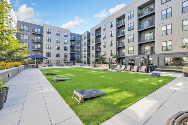 Interior Photo - Olive & Wooster